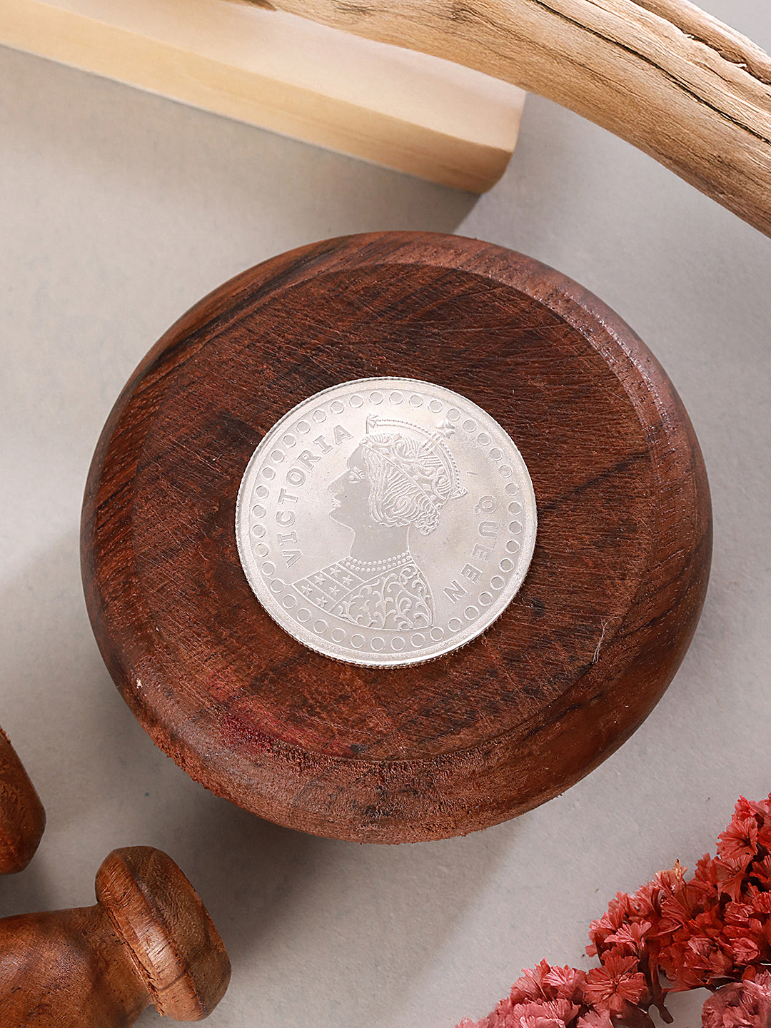 Silver toned 10 gram 999 Round Silver Coin