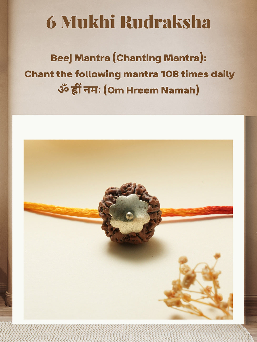 Natural 6 Mukhi Faces Rudraksh With Certificate  In Red Thread Pendant Necklace & Chain