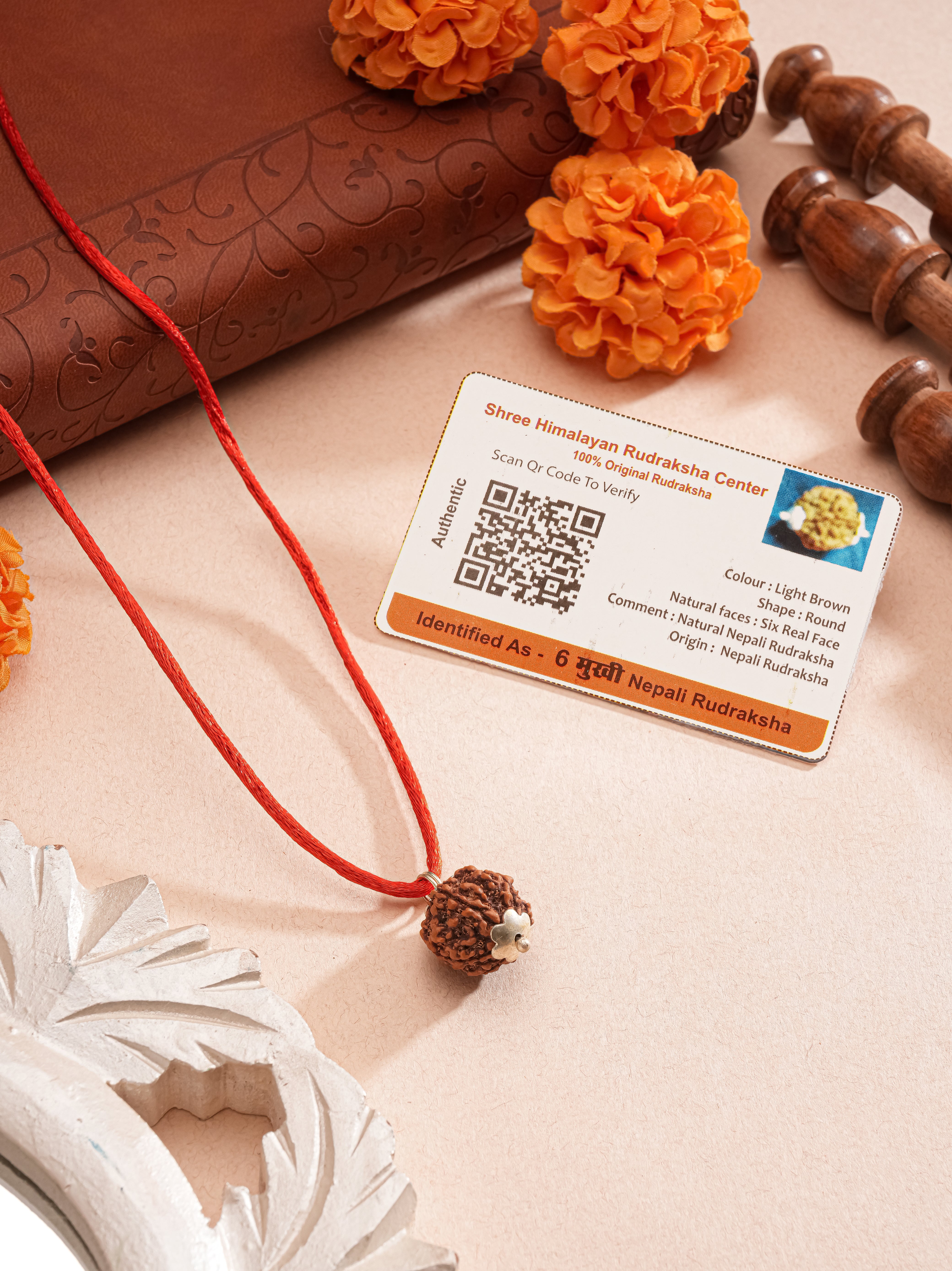 Natural 6 Mukhi Faces Rudraksh With Certificate  In Red Thread Pendant Necklace & Chain